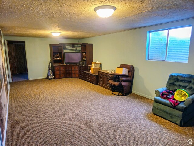 719 Adams St, Montpelier, ID 83254 - sitting room featuring carpet and a textured ceiling