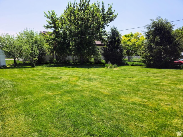 719 Adams St, Montpelier, ID 83254 - view of yard