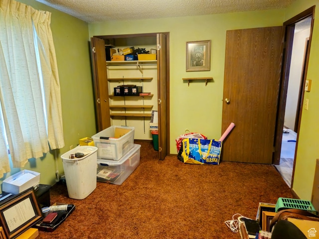 719 Adams St, Montpelier, ID 83254 - carpeted bedroom with a textured ceiling