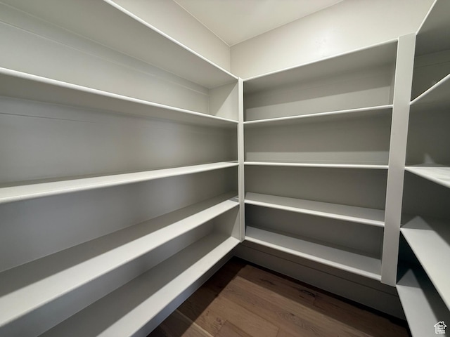 2863 E Freshet Dr, Washington, UT 84780 - view of pantry