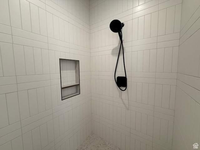 2863 E Freshet Dr, Washington, UT 84780 - bathroom view of a tile shower
