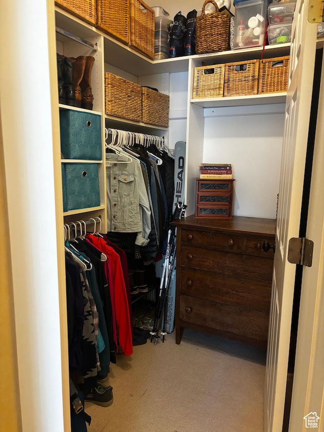 5420 N Bobsled Blvd Unit 202, Park City, UT 84098 - walk in closet with carpet flooring