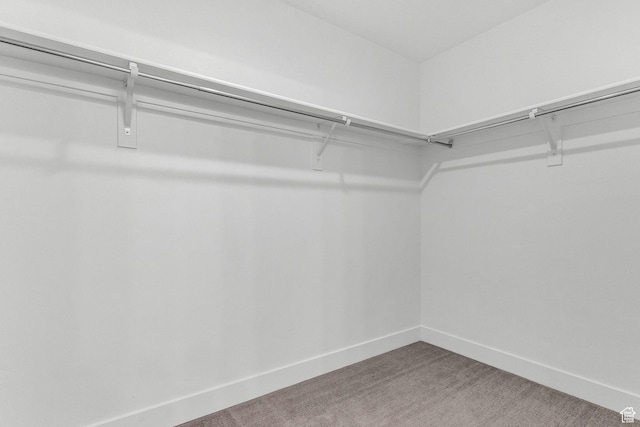 1797 N Avocet Dr, Salem, UT 84653 - walk in closet featuring carpet flooring