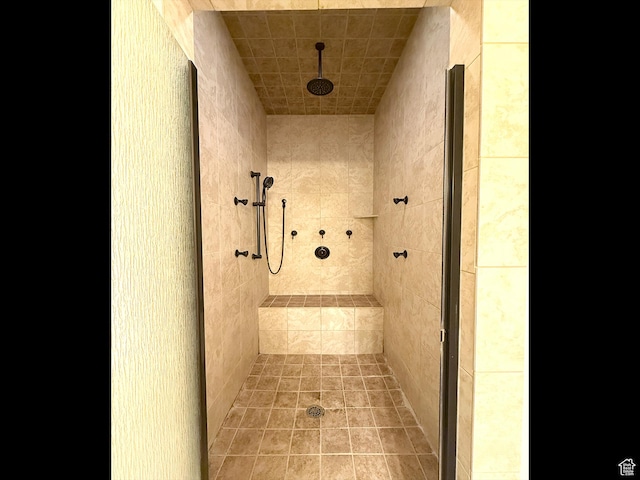 2307 Maple Leaf Dr, Cove, UT 84320 - bathroom with a tile shower