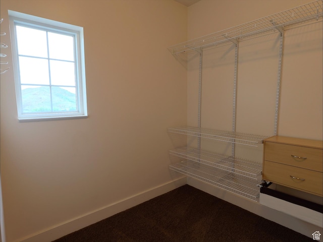 2307 Maple Leaf Dr, Cove, UT 84320 - view of walk in closet