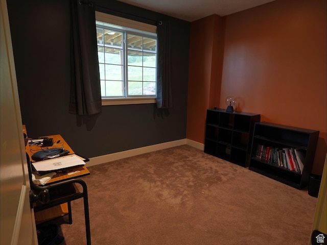 2307 Maple Leaf Dr, Cove, UT 84320 - living area with carpet and baseboards