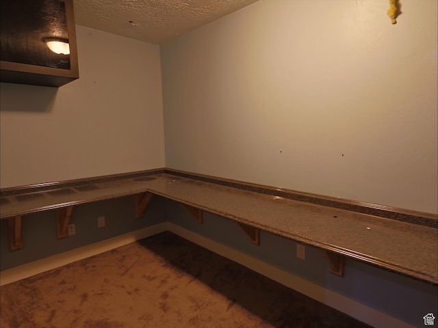 2307 Maple Leaf Dr, Cove, UT 84320 - mudroom with a textured ceiling and dark carpet