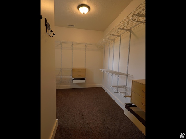 2307 Maple Leaf Dr, Cove, UT 84320 - spacious closet with dark carpet