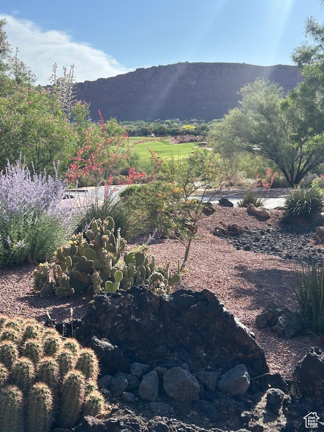 2763 N Chaco Trl, St George, UT 84770 - view of mountain background