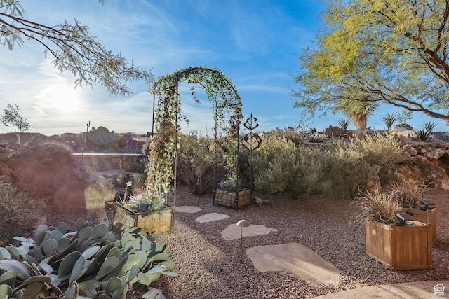 2763 N Chaco Trl, St George, UT 84770 - view of yard
