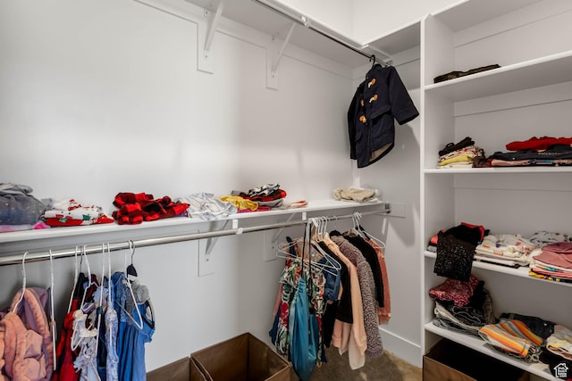 14908 S Fawley Ln, Herriman, UT 84096 - spacious closet with carpet