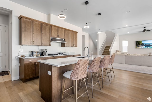 14908 S Fawley Ln, Herriman, UT 84096 - kitchen with a sink, under cabinet range hood, open floor plan, light wood-style floors, and a kitchen island with sink