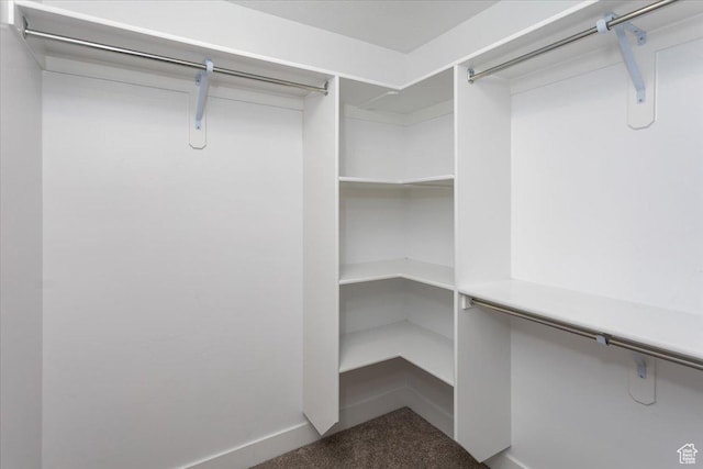 1704 E Talon Way, Eagle Mountain, UT 84005 - walk in closet featuring carpet floors