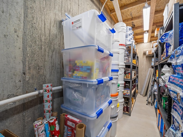 1353 Sageberry Dr, Santaquin, UT 84655 - view of storage room
