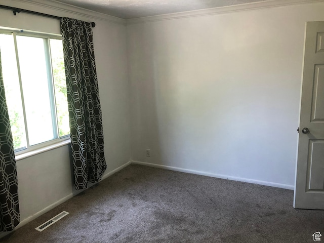 399 E 400 N Unit 2A, Bountiful, UT 84010 - unfurnished room with carpet, baseboards, and ornamental molding