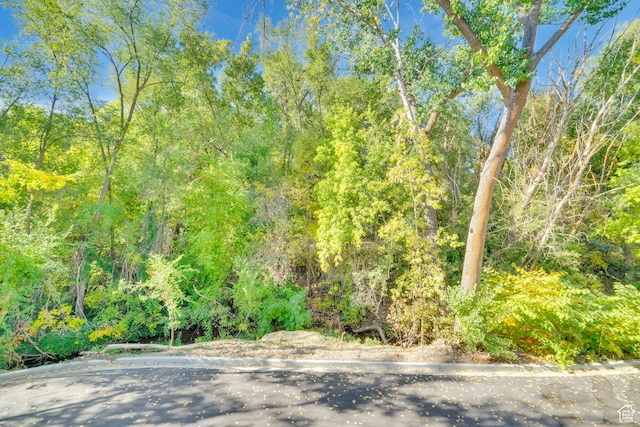 4022 S Burch Creek Way S, Ogden, UT 84405 - view of tree filled area
