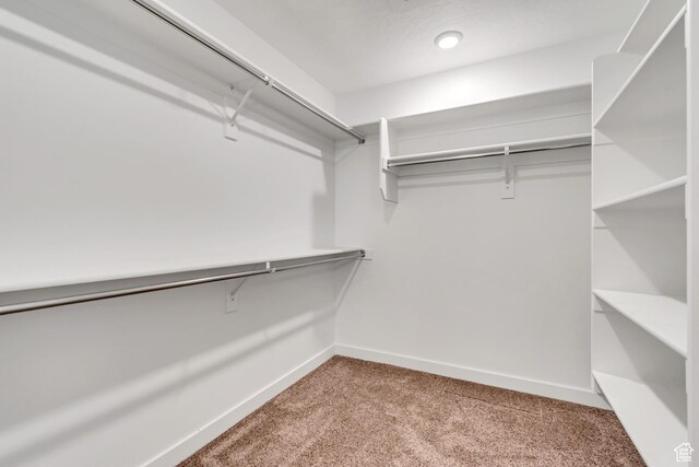 3800 W 560 N Unit 509, Lehi, UT 84043 - walk in closet with carpet floors