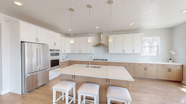 833 N Union Bench Dr W Unit 62, Mapleton, UT 84664 - kitchen featuring stainless steel appliances, wall chimney range hood, a sink, light wood-style flooring, and a textured ceiling