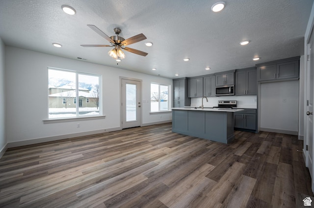 622 S 85 E Unit 4, Smithfield, UT 84335 - kitchen featuring appliances with stainless steel finishes, a sink, gray cabinetry, dark wood-type flooring, and recessed lighting