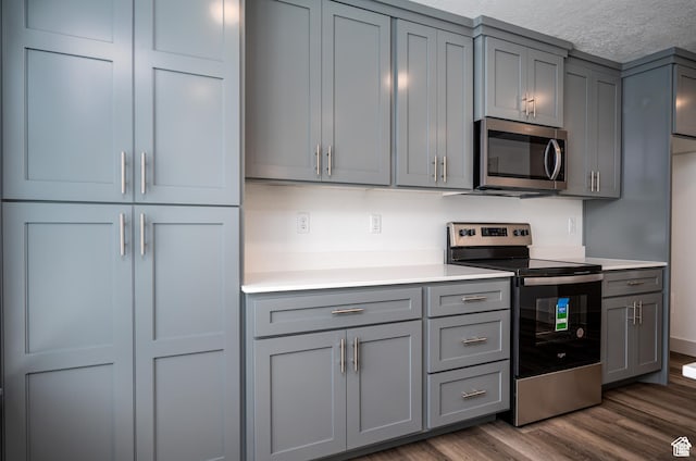 622 S 85 E Unit 4, Smithfield, UT 84335 - kitchen featuring appliances with stainless steel finishes, gray cabinetry, light countertops, dark wood-type flooring, and a textured ceiling