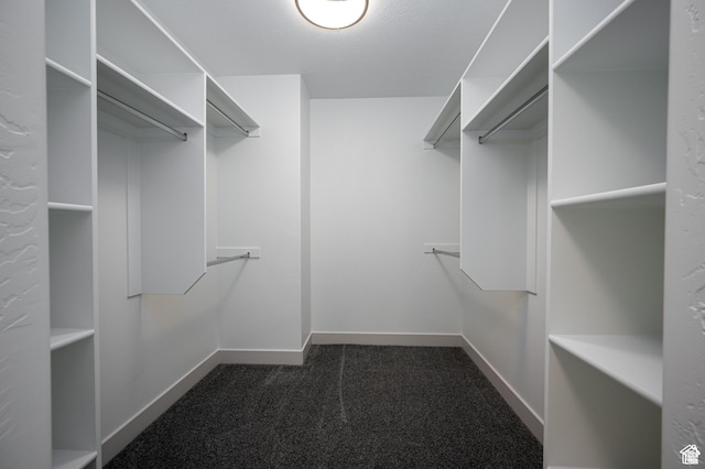 622 S 85 E Unit 4, Smithfield, UT 84335 - spacious closet with dark colored carpet