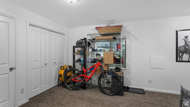 1029 Independence, Provo, UT 84604 - view of storage