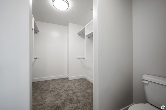 636 S 85 E Unit 6, Smithfield, UT 84335 - walk in closet with carpet flooring