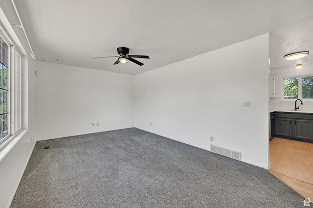 2652 W 6050 S, Roy, UT 84067 - spare room featuring ceiling fan, light carpet, and a sink