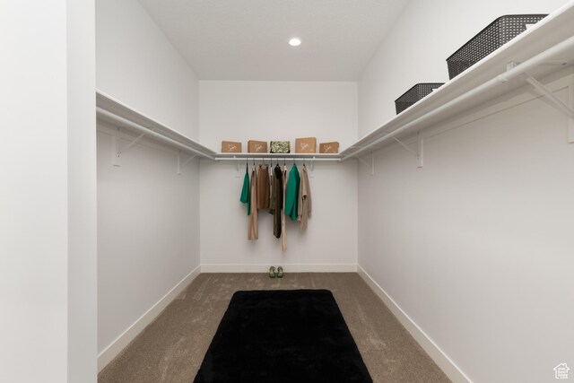 6552 W Timber Ranch Dr, Herriman, UT 84096 - walk in closet with carpet floors