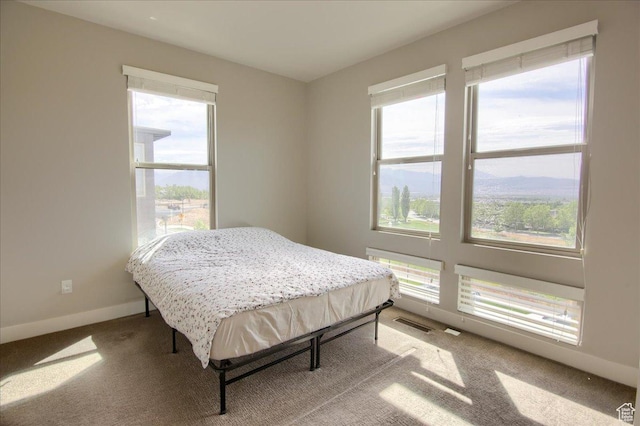 4508 W Kestrel Ridge Rd, South Jordan, UT 84009 - carpeted bedroom featuring multiple windows and baseboards