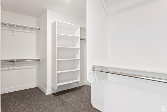 1687 W 2770 S Unit 204, Syracuse, UT 84075 - walk in closet with dark colored carpet