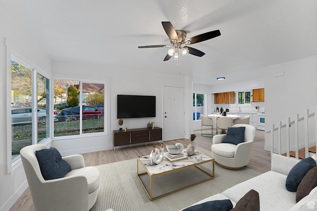 1167 29th St, Ogden, UT 84403 - living area with light wood-style flooring, baseboards, and ceiling fan