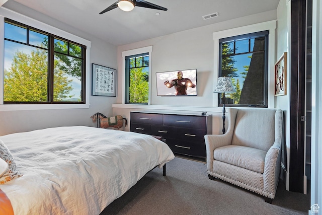 3428 Westview Trl, Park City, UT 84098 - bedroom with multiple windows, carpet, and a ceiling fan