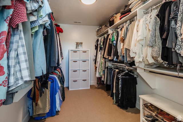 611 E 400 N, Providence, UT 84332 - spacious closet with light colored carpet