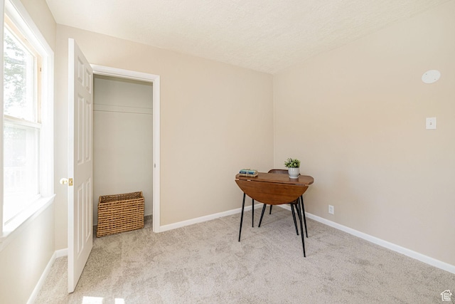 3809 Raymond Ave, South Ogden, UT 84403 - photo 20
