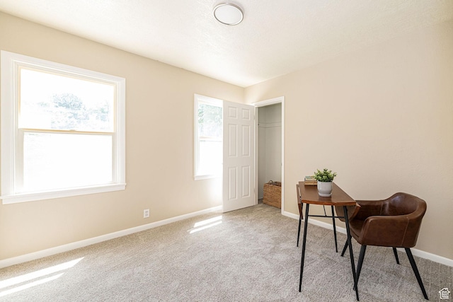 3809 Raymond Ave, South Ogden, UT 84403 - photo 21