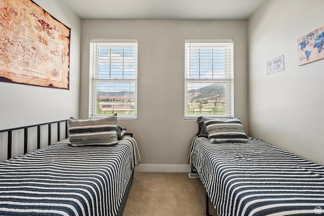899 S Lincoln Ave Unit 3, Cedar City, UT 84720 - bedroom with carpet and baseboards