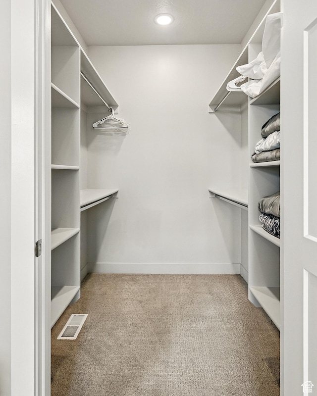 899 S Lincoln Ave Unit 3, Cedar City, UT 84720 - walk in closet featuring carpet floors