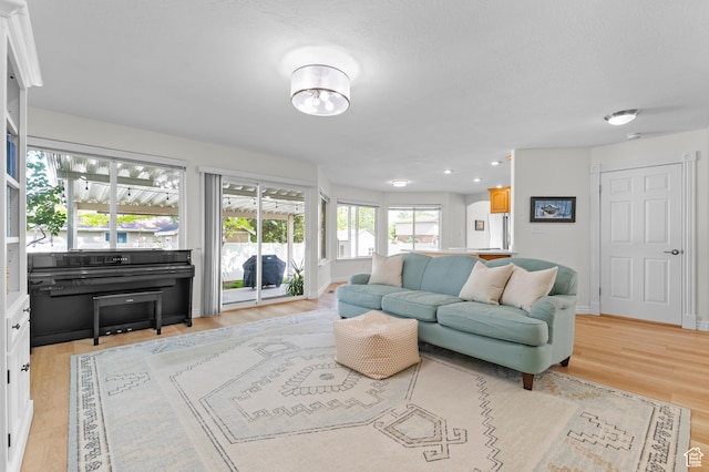 12064 S Fastback Cir, Riverton, UT 84065 - living room featuring light wood-type flooring