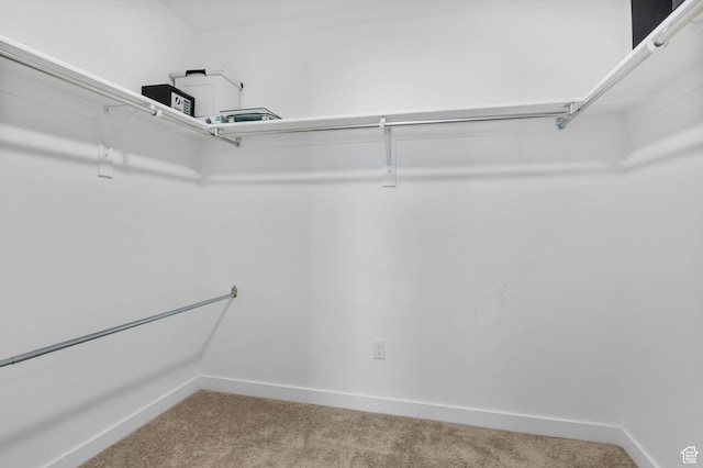 15223 S Wild Horse Way, Bluffdale, UT 84065 - walk in closet featuring carpet flooring