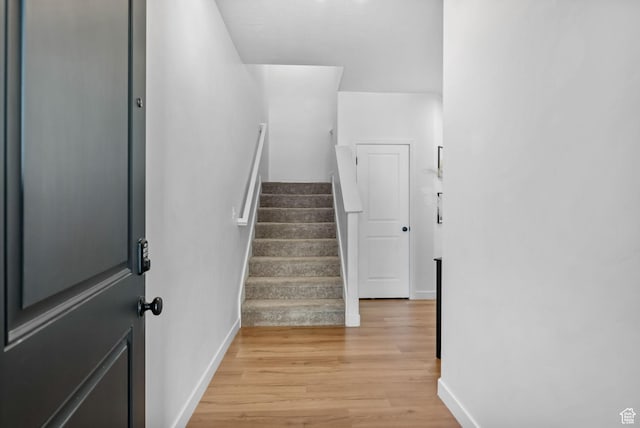 15223 S Wild Horse Way, Bluffdale, UT 84065 - stairway with baseboards and wood finished floors