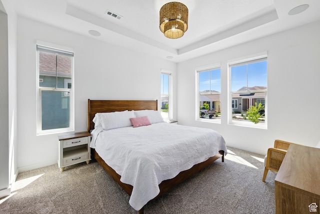 6034 W Sparrow View Dr, South Jordan, UT 84009 - carpeted bedroom featuring a tray ceiling and baseboards