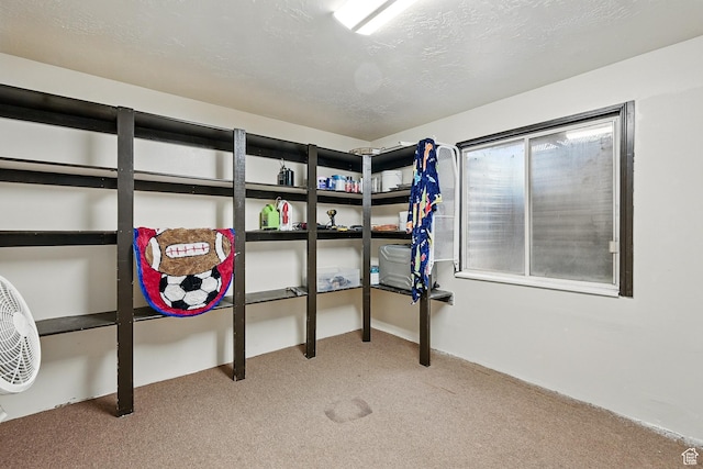 1790 E Homestead, Enoch, UT 84721 - view of storage room