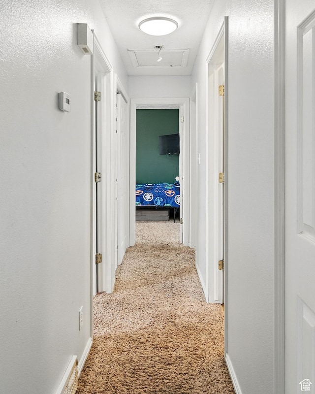 1790 E Homestead, Enoch, UT 84721 - corridor with carpet floors and baseboards