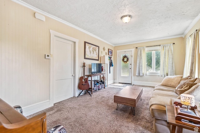 381 E 300 S, Logan, UT 84321 - living room with carpet, crown molding, baseboards, and a textured ceiling