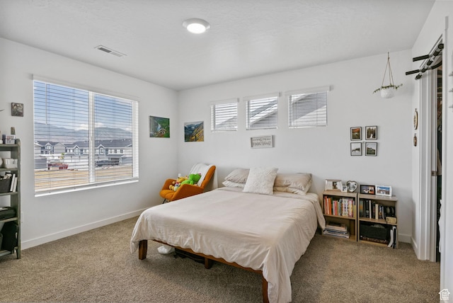 3547 E 1360 S, Spanish Fork, UT 84660 - bedroom featuring carpet floors, multiple windows, and baseboards