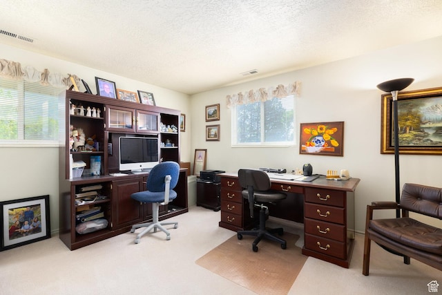 1478 N Ewe Turn St E, Kaysville, UT 84037 - office area featuring plenty of natural light, light carpet, and a textured ceiling