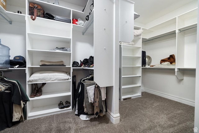 403 W 4000 S, Vernal, UT 84078 - walk in closet with carpet flooring