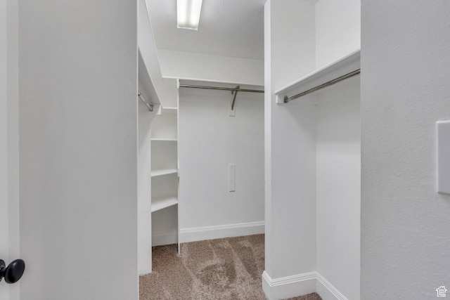 4055 N Cove Dr, Provo, UT 84604 - walk in closet featuring carpet