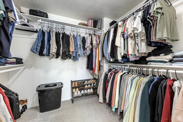 2671 N Garden Dr, Lehi, UT 84043 - spacious closet with carpet floors